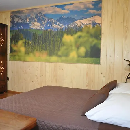 Msc Honeysun Apartament Zakopane