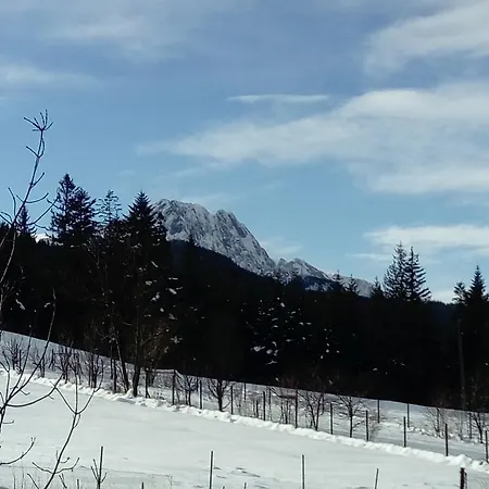 Msc Honeysun Zakopane